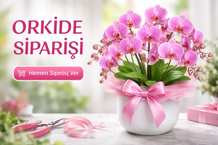 Elazığ Orkide Siparişi