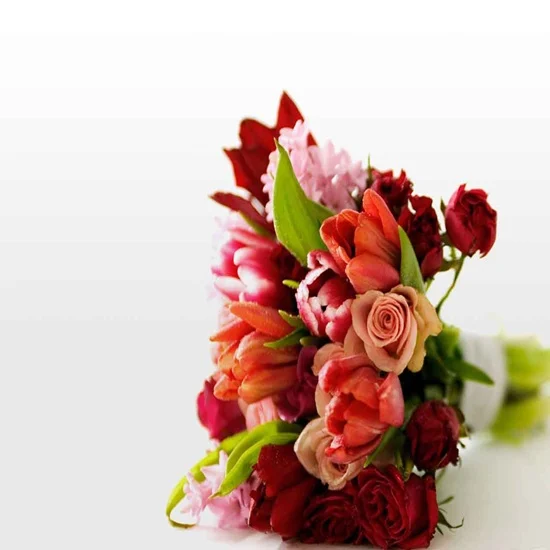 Elazığ Canlı Ve Yapay Çiçek